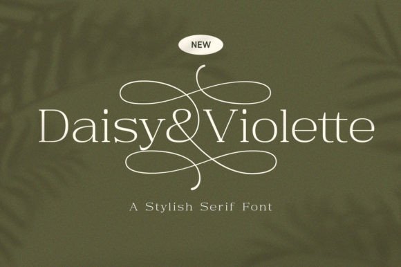 Daisy Violette: The Modern Serif Font for Authentic Brand Identity