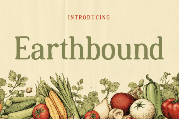 Earthbound: A Designer's Honest Review for Real Projects